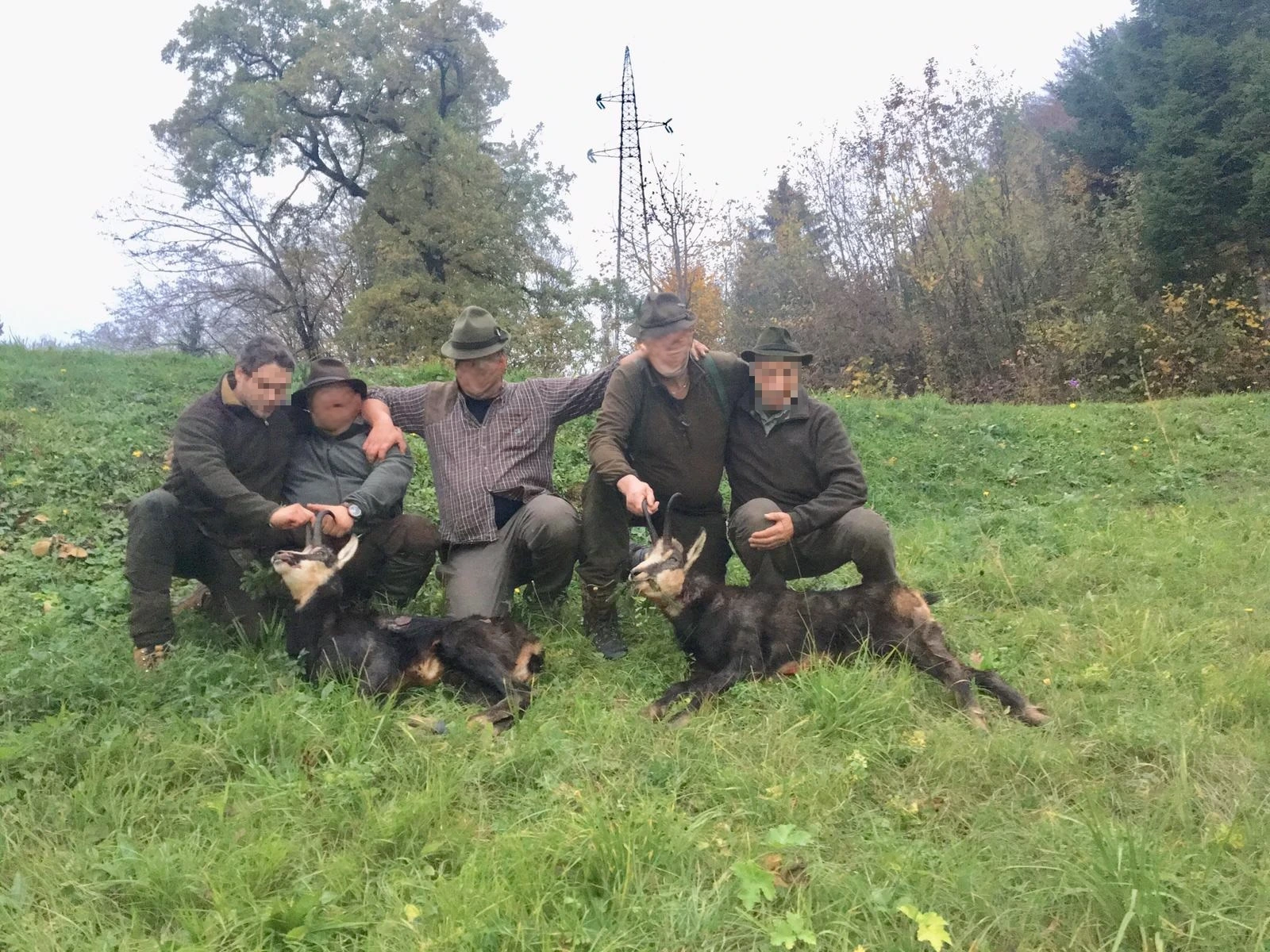 úspešný lov loveckej skupiny na kamzíka