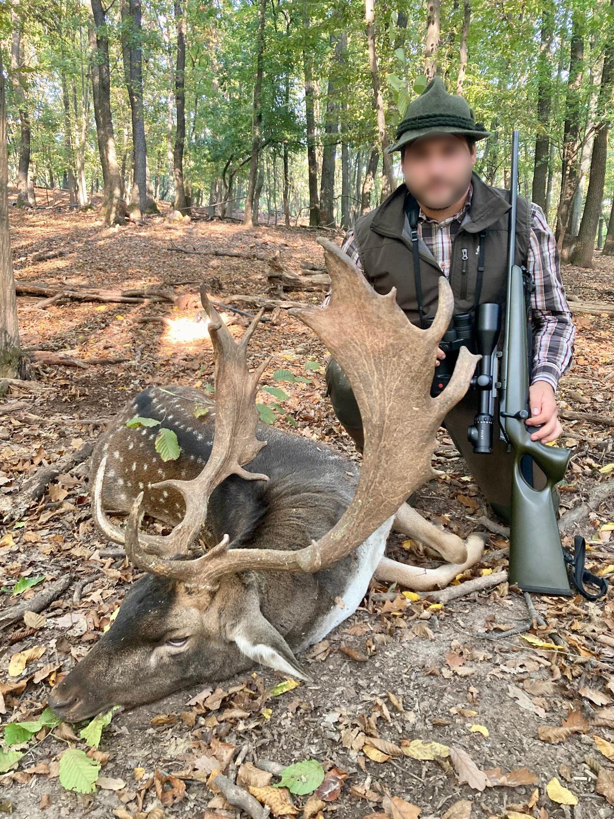 fallow deer trophy