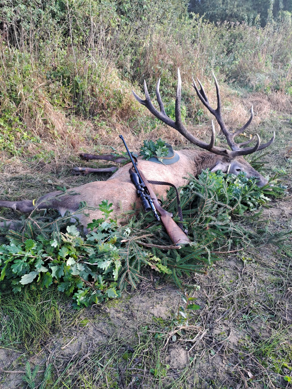 red deer trophy