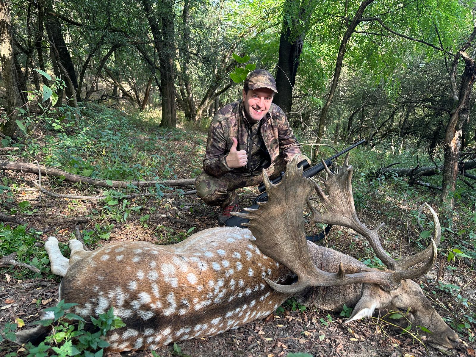 fallow deer trophy